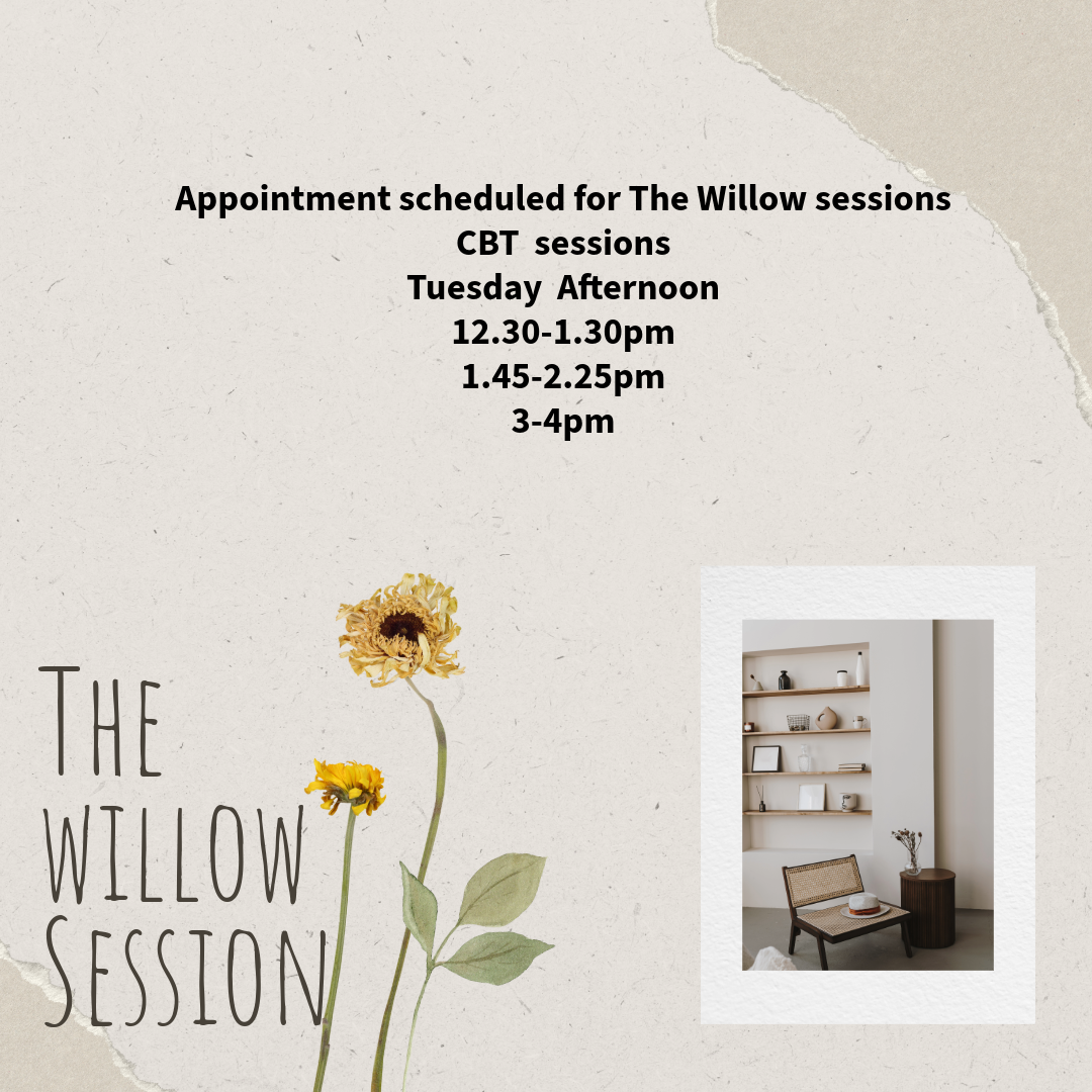 The Willow CBT sessions