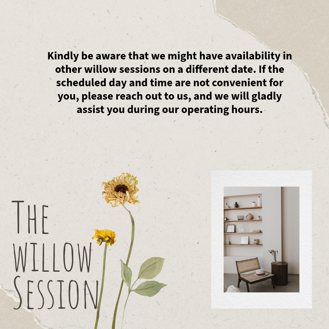 The willow mental health session