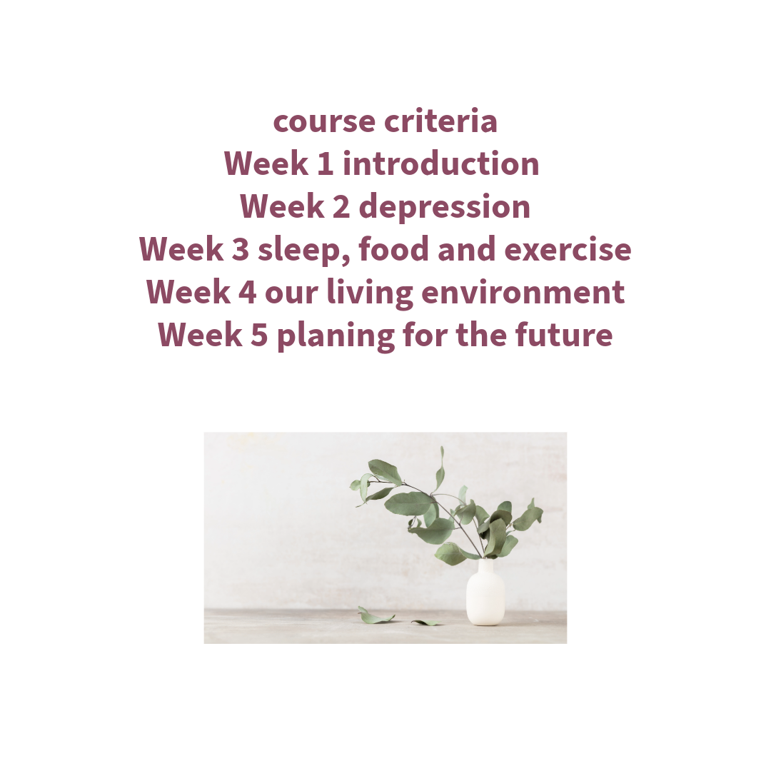 The Deep roots Mental health part 3 sessions