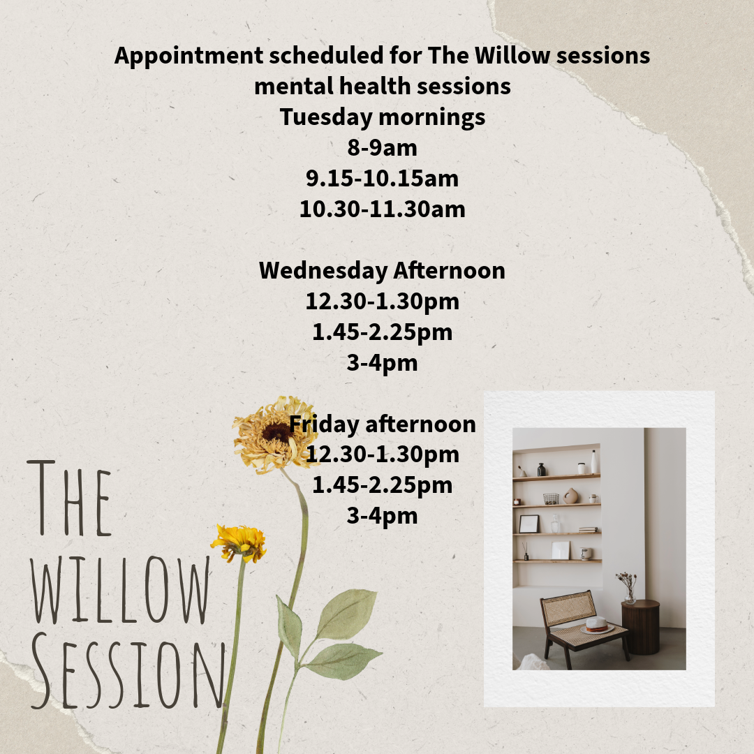 The willow sessions mental health session