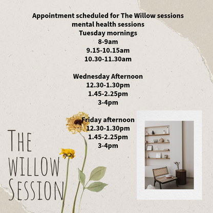 The willow sessions mental health session