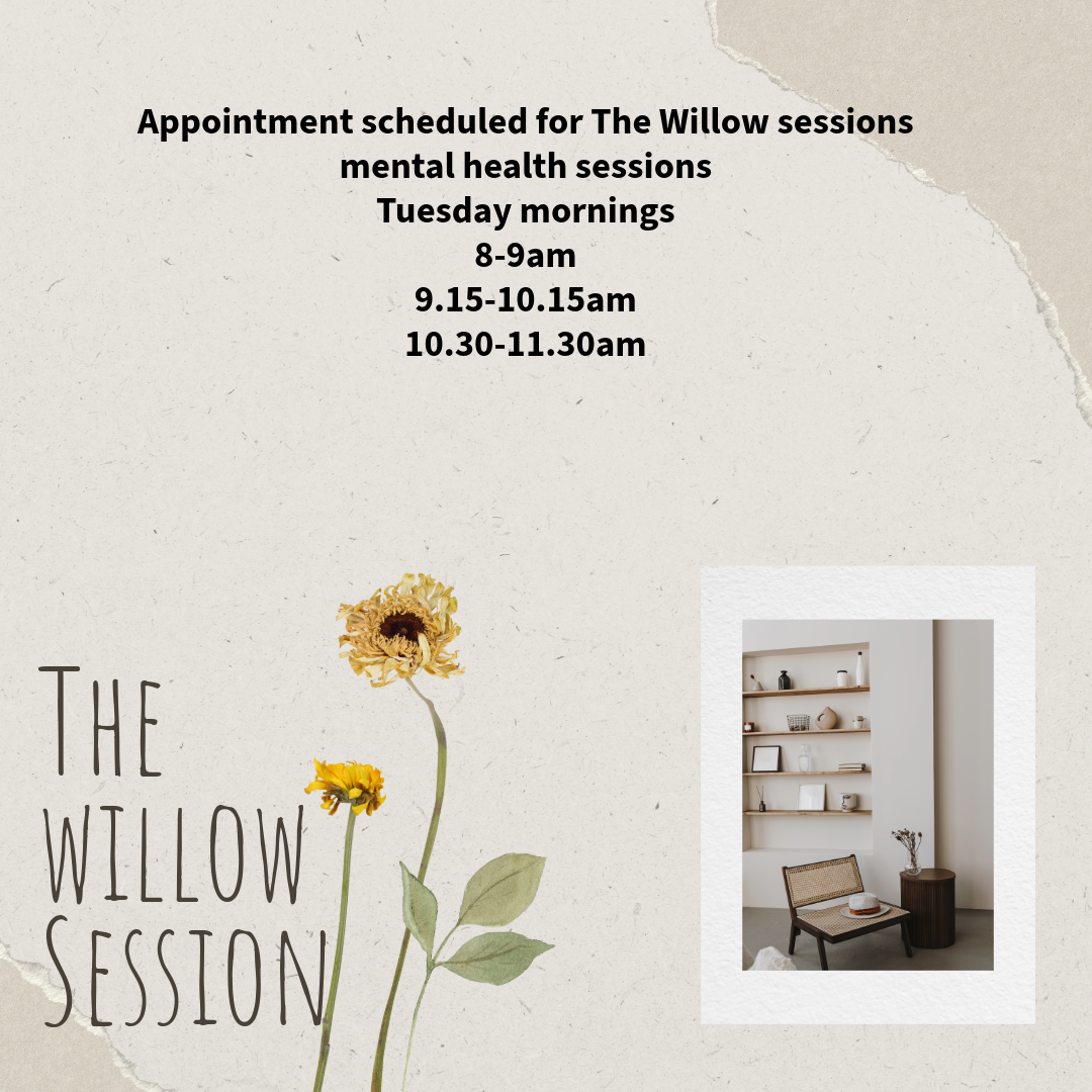 The willow mental health session