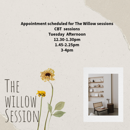 The Willow CBT sessions
