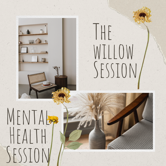 The willow sessions mental health session