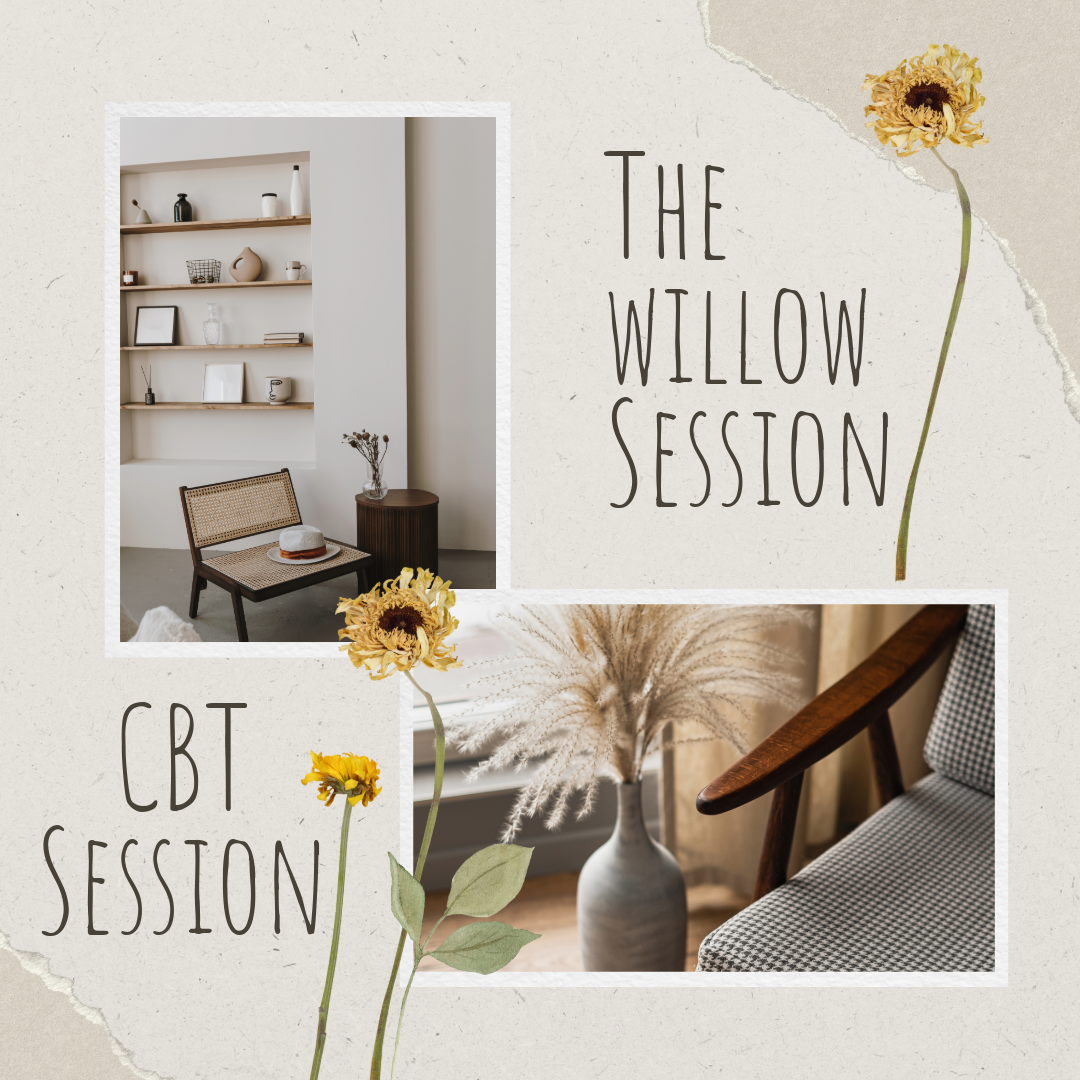 The Willow CBT sessions